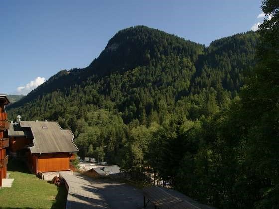 Apartment directly at the ski slope